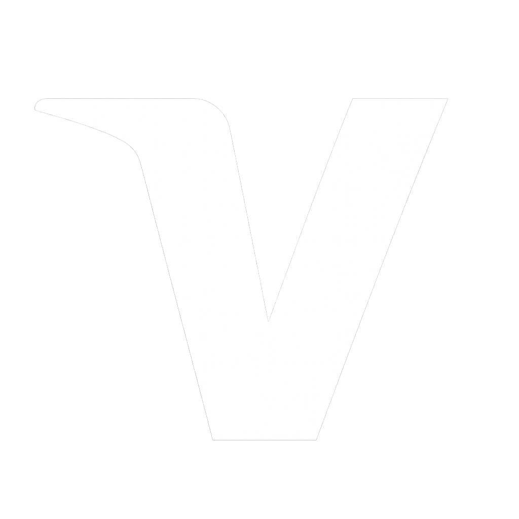 visa logo